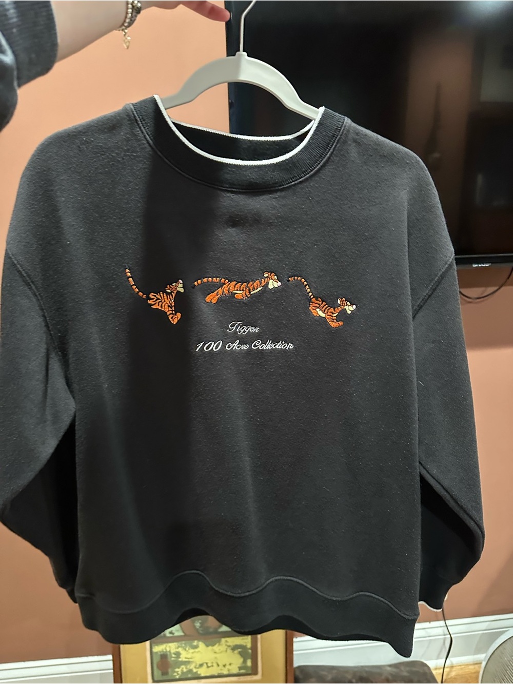Vintage Disney Tigger 100 Acre Collection Black crew neck hoodie